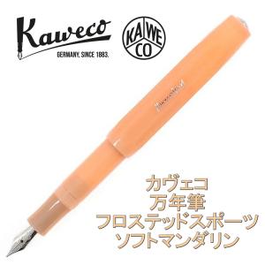 CLASSIC SPORT KAWECO FOUNTAIN PEN カヴェコ クラシックスポーツ