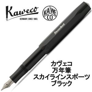 Kaweco（カヴェコ） アルスポーツ アルミ 万年筆 グレー（チタン