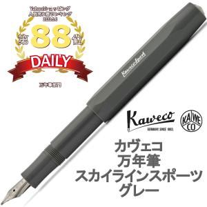 Kaweco（カヴェコ） 万年筆 コレクション 限定品 スカイライン