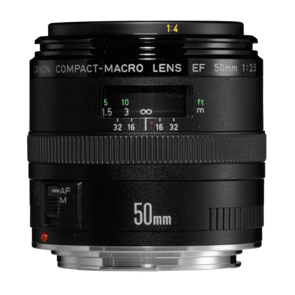 Canon 単焦点マクロレンズ EF50mm F2.5 コンパクトマクロ フルサイズ対応