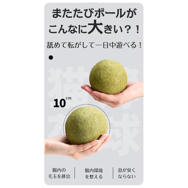 またたび 猫 玩具 5cm 子猫 またたびボール 大型猫 猫じゃらし 猫の歯固め ペット用 噛むおも...