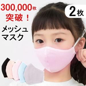 30万枚突破！爽やか メッシュマスク 2枚 子ども用 大人用 個包装 接触冷感 メンズレディース 個別包装 清涼 繰り返し使える速乾 送料無料｜LAFIXIA