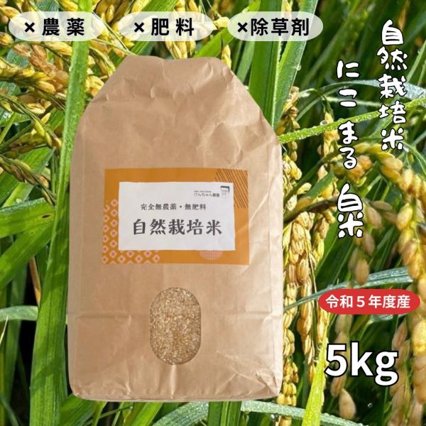 米 新米 自然栽培 宮崎県産 にこまる 白米  5kg  無農薬 無肥料 無堆肥 無除草剤 無添加 ...