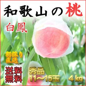 和歌山田中農園の桃 白鳳　秀品4ｋg　11玉〜15玉｜w-tanakanouen