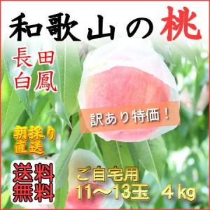 送料無料 訳あり 和歌山田中農園の桃 長田白鳳 4ｋ 11〜13玉｜w-tanakanouen