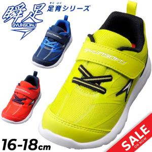 瞬足 足育 キッズシューズ 2E幅 16-24cm 子供靴 しゅんそく そくいく スニーカー ジュニアシューズ 子ども 男児 男子 赤 青 きいろ 黄 ボーイズ /SKF2480｜w-w-m