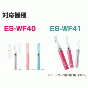 パナソニック フェリエ フェイスケア替刃 2個...の詳細画像1