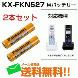 パナソニック 子機用充電式ニッケル水素電池 2本 HHR-55AAABJG 増設子機用 取寄せ品 新品