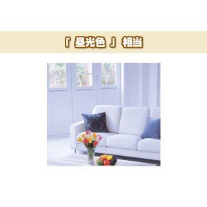Panasonic LED電球 2個セット 昼...の詳細画像2