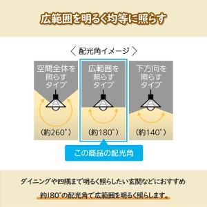 Panasonic LED電球 昼白色 一般電...の詳細画像3