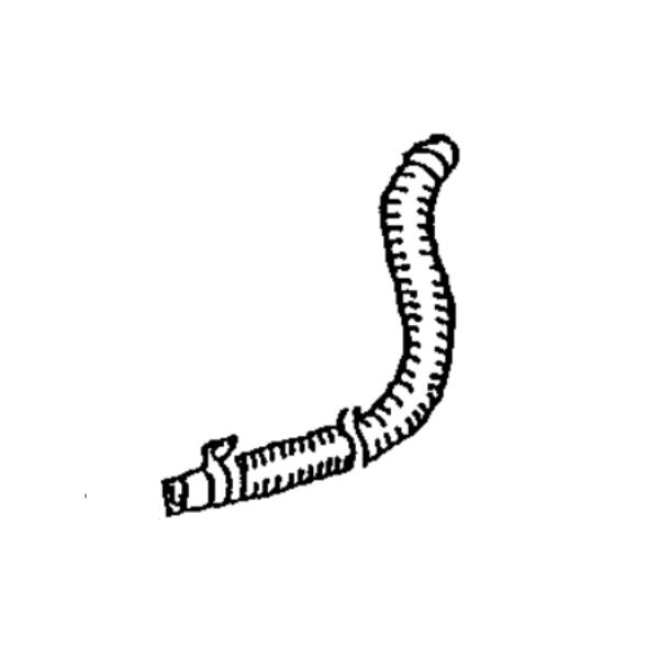 東芝 洗濯機 排水ホース 42040676