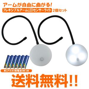 LEDセンサーライト フレキシブルアームタイプ 防雨仕様 屋外 SL105 2個+電池セット リーベックス｜w-yutori