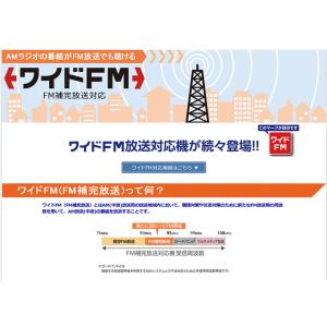 携帯ラジオ 東芝 ラジオ am fm ワイドf...の詳細画像1