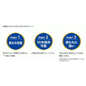 パナソニック 乾電池 エボルタネオ 単3形 1...の詳細画像2