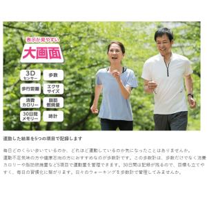 歩数計 大画面 大文字で見やすい カロリー 脂...の詳細画像2