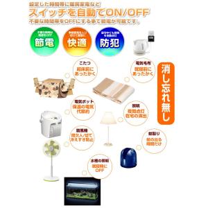 オン オフ タイマースイッチ タイマーコンセン...の詳細画像1