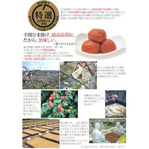 梅干し はちみつ 木箱入 個包装 20粒 福豊...の詳細画像2