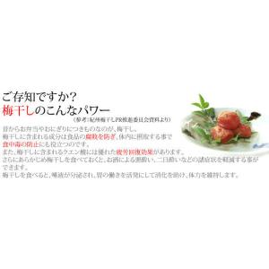 梅干し はちみつ 木箱入 個包装 20粒 福豊...の詳細画像3