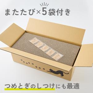 猫 爪とぎ ダンボール 5枚入り 爪研ぎ 爪と...の詳細画像4