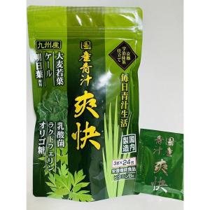 第一薬品工業 イチョウ葉ベリーアイプラス 120粒 栄養機能食品