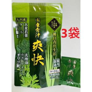 第一薬品工業 イチョウ葉ベリーアイプラス 120粒 栄養機能食品