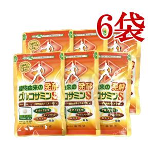 大協薬品工業 グルコサミン＆コンドロイチン 720粒 2個 120日分 栄養