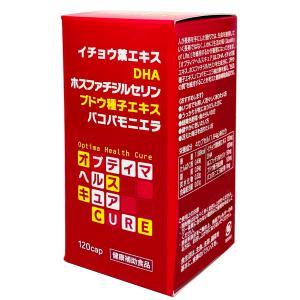 イチョウ葉ベリーアイプラス （120粒×2瓶） イチョウ葉ベリーアイプラス 120粒 栄養機能食品 サプリメント