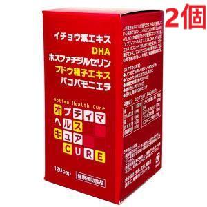 イチョウ葉ベリーアイプラス （120粒×2瓶） 第一薬品工業 イチョウ葉ベリーアイプラス 120粒 栄養機能食品