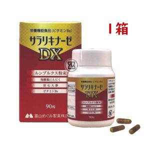 サラリキナーゼDX 90粒 栄養機能食品 ミミズ乾燥粉末 ルンブルクス ビタミンB6 田七人参 黒ニンニク 美原エルアール研究所 富山めぐみ