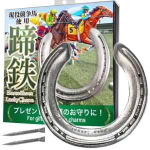 馬 グッズ 蹄鉄 競馬 競走馬 置物 ウマ 馬蹄鉄 実際に使用 うま 本物 プレゼント 開運グッズ｜WAストア