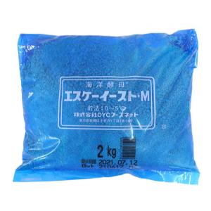 Ｍイースト （海洋酵母） / 2kg 富澤商店 公式