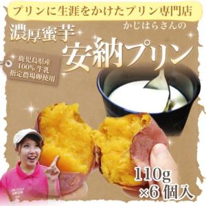 濃厚蜜芋安納プリン(100g×6個入)本場種子島産安納芋使用...