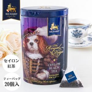 紅茶 ギフト おしゃれ ティーバッグ ブランド プレゼント 女性 缶 かわいい セイロン 犬 スパニエル キャバリア