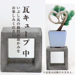 昌国 黒磨剪定鋏 No,1 : 盆栽ショップ わびさび Yahoo!店 - 通販