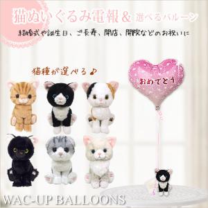 ぬいぐるみ電報 結婚 開店祝い かわいい スコティシュ/アメショー/黒猫/ミケ/ラグドール/ハチワレキトン猫のぬいぐるみが運ぶワンバルーンセット｜wac-up