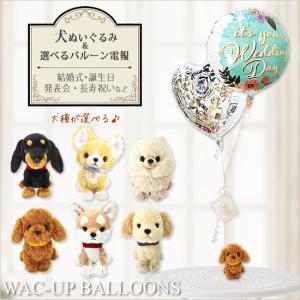 結婚式電報 ぬいぐるみ 犬 おしゃれ 結婚祝い トイプー/チワワ/柴犬/コーギー/シーズー/ダックス/レトリバーPUPSパプス犬のぬいぐるみが運ぶ2バルーンセット｜wac-up