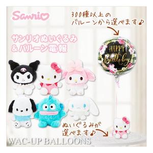 1994年製サンリオプレミアム58個コレクション整理キティポチャッコるるる学園 1994年製サンリオプレミアム58個コレクション整理キティ