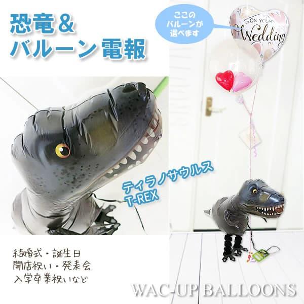 恐竜 ティラノサウルス バルーン 風船 プレゼント お見舞い 誕生日 出産祝い お祝い ひょこひょこ...