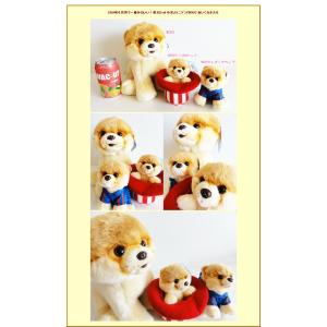 ワールドキューテストドッグのboo ぬいぐるみバルーンラッピング Booインusaハット ガンド Gund 入手困難