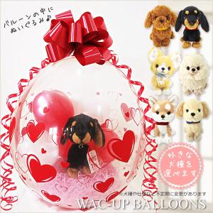 犬 結婚式 バルーン電報 誕生日 プレゼント チワワ トイプードル ミニチュアダックス 柴犬 ぬいぐるみバルーンラッピング（赤ハート）選べる子犬PUPSパプス