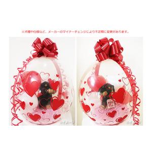 犬 結婚式 バルーン電報 誕生日 プレゼント ...の詳細画像1