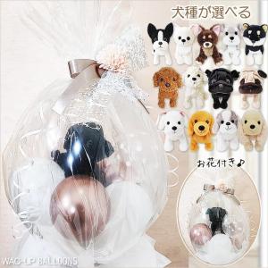 ニニアンドキノ パーフェクトペット (大サイズ) パグ (フォーン