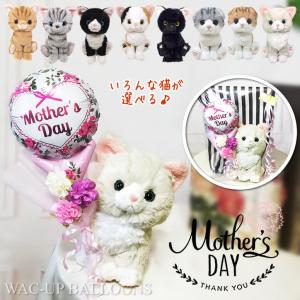 母の日 花 スコティシュフォールド アメショー ...の商品画像