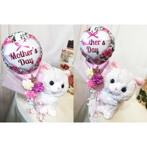 母の日 花 スコティシュフォールド アメショー...の詳細画像1