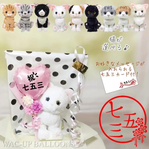 七五三 プレゼント 花束 子ネコ 女の子 3歳 7歳 猫 電報 ギフト 可愛い ぬいぐるみ 格安 贈...