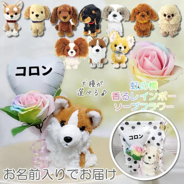 お供え お悔み お悔やみ 犬 ぬいぐるみ 子犬 ペット 弔電 虹の橋 虹色 飼い主 花以外 花 贈り...