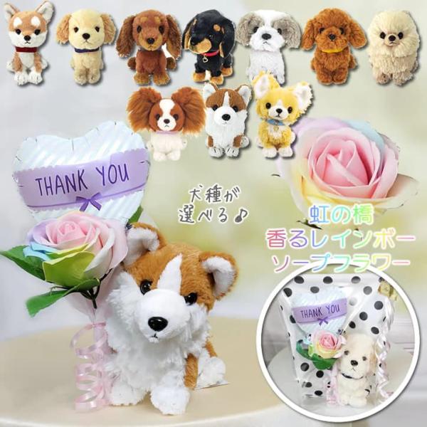犬 ペット お悔み お供え 弔電 虹の橋 ぬいぐるみ 虹色 飼い主 花以外 贈り物 子犬 ありがとう...