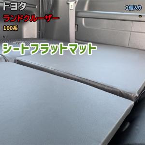 ステークホルダー ランドクルーザー100 国産 ブラック サンシェード