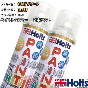 Holts（ホルツ） ペイントスプレー 2本セット GM/サターン 0 シボレー