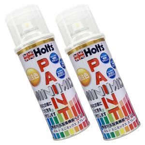 Holts（ホルツ） MINIMIX 特注色 ペイントスプレー スバル(富士重工